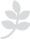 Dynamic Patterns Research